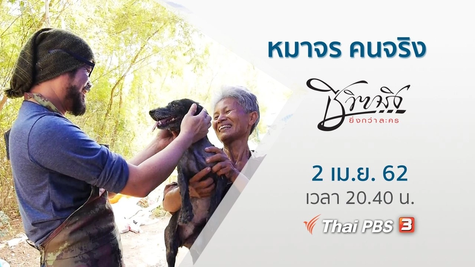 หมาจร คนจริง​