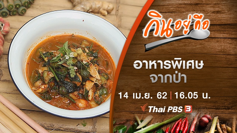 อาหารพิเศษจากป่า