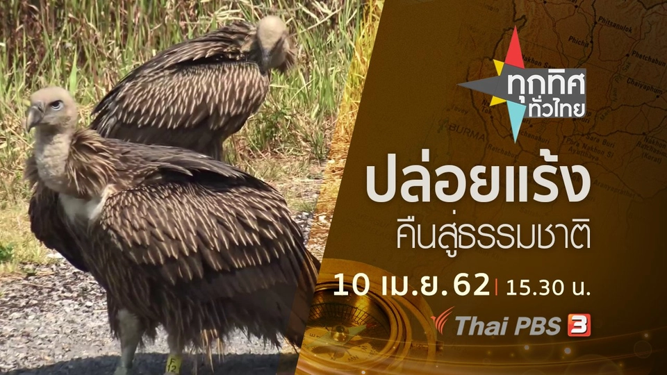 ประเด็นข่าว (10 เม.ย. 62)