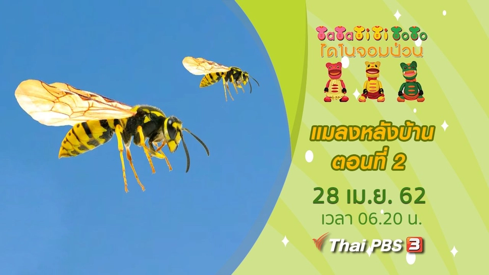 แมลงหลังบ้าน ตอนที่ 2