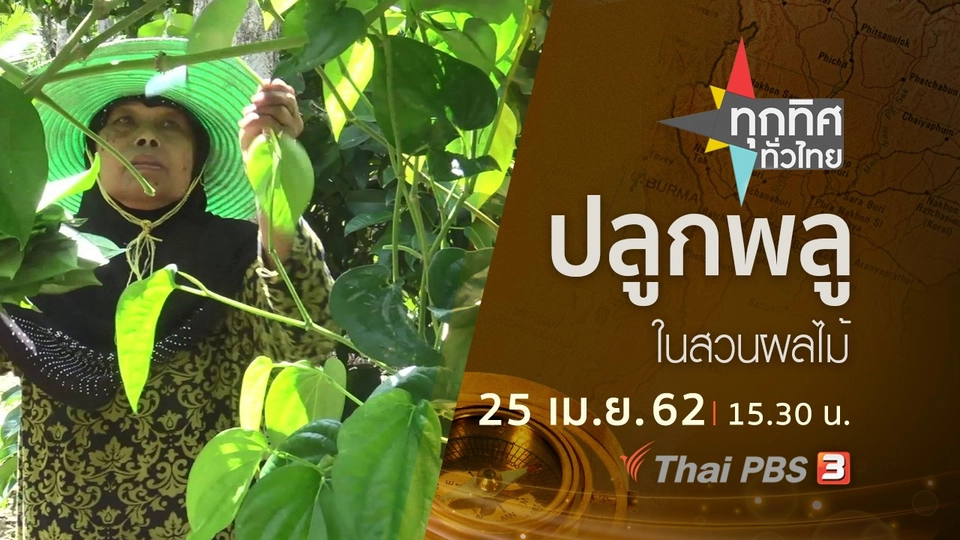 ประเด็นข่าว (25 เม.ย. 62)