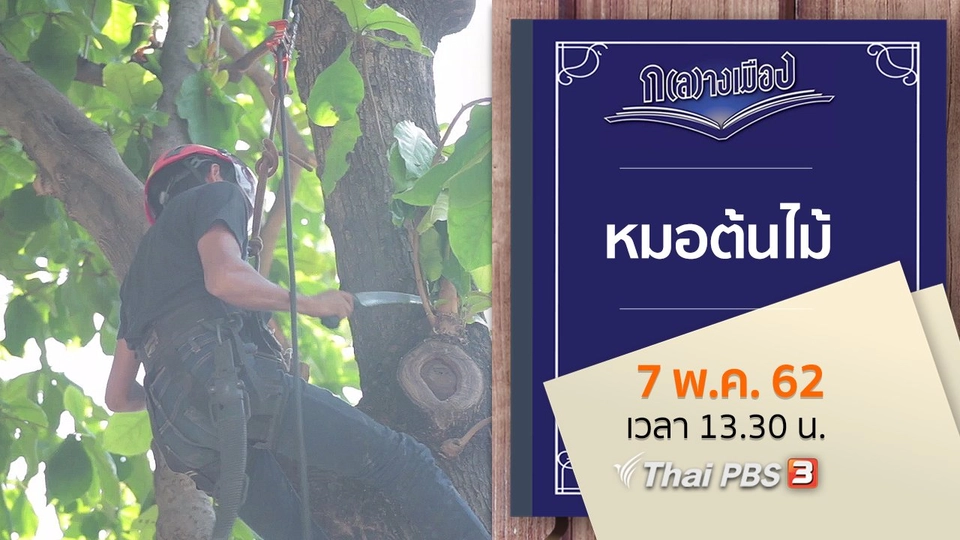 หมอต้นไม้