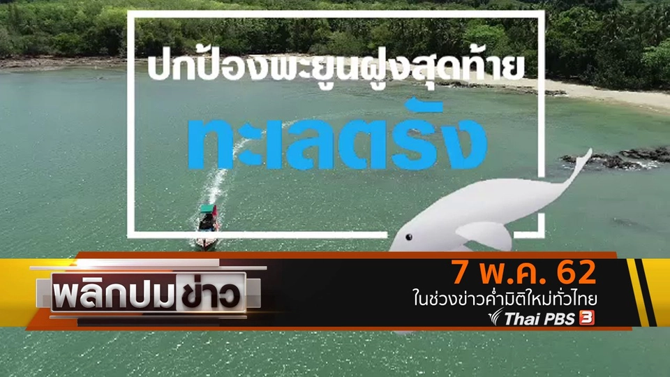 ปกป้องพะยูนฝูงสุดท้ายทะเลตรัง