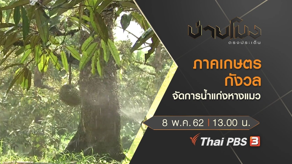 ประเด็นข่าว (8 พ.ค. 62)