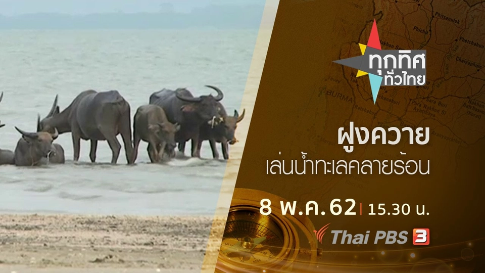 ประเด็นข่าว (8 พ.ค. 62)