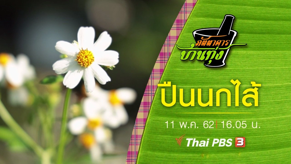 ปืนนกไส้