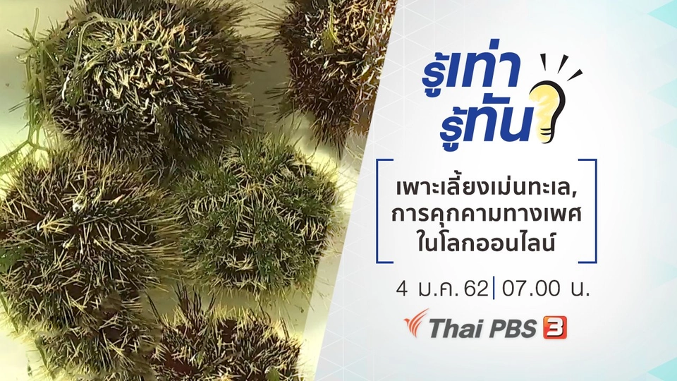 นวัตกรรมเพาะเลี้ยงเม่นทะเล, การคุกคามทางเพศในโลกออนไลน์