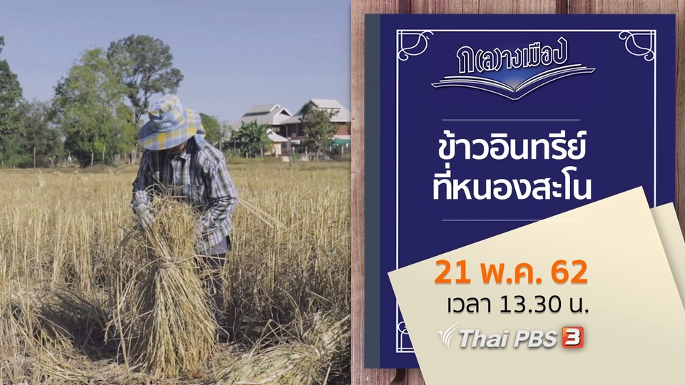 ข้าวอินทรีย์ที่หนองสะโน