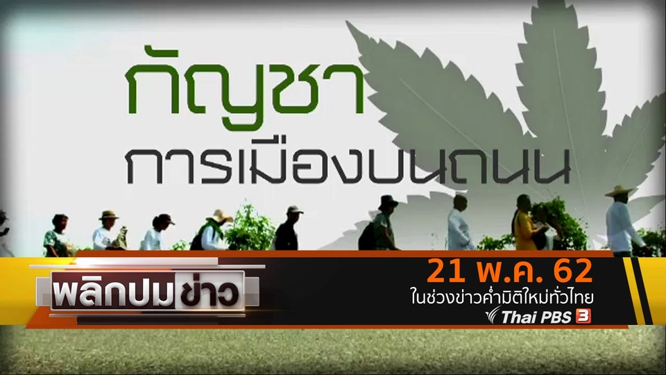 กัญชา การเมืองบนถนน