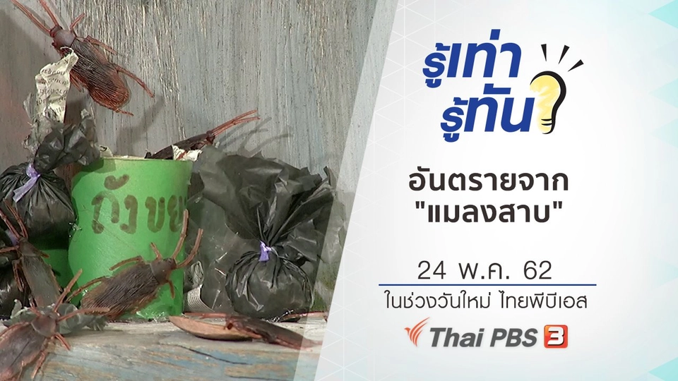 อันตรายจาก "แมลงสาบ"