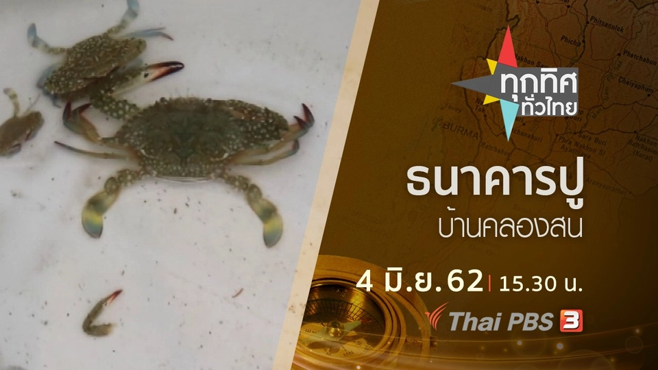 ประเด็นข่าว (4 มิ.ย. 62)