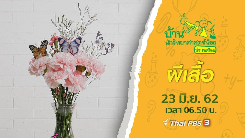 ผีเสื้อ