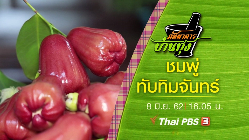 ชมพู่ทับทิมจันทร์