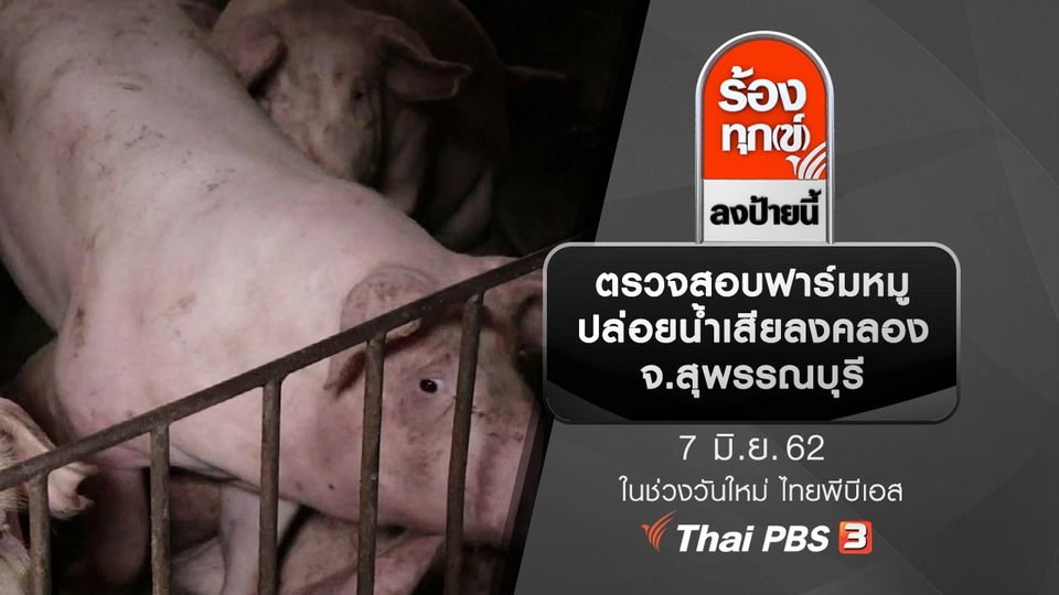 ตรวจสอบฟาร์มหมูปล่อยน้ำเสียลงคลอง จ.สุพรรณบุรี