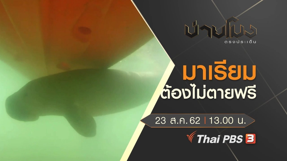 ประเด็นข่าว (23 ส.ค. 62)