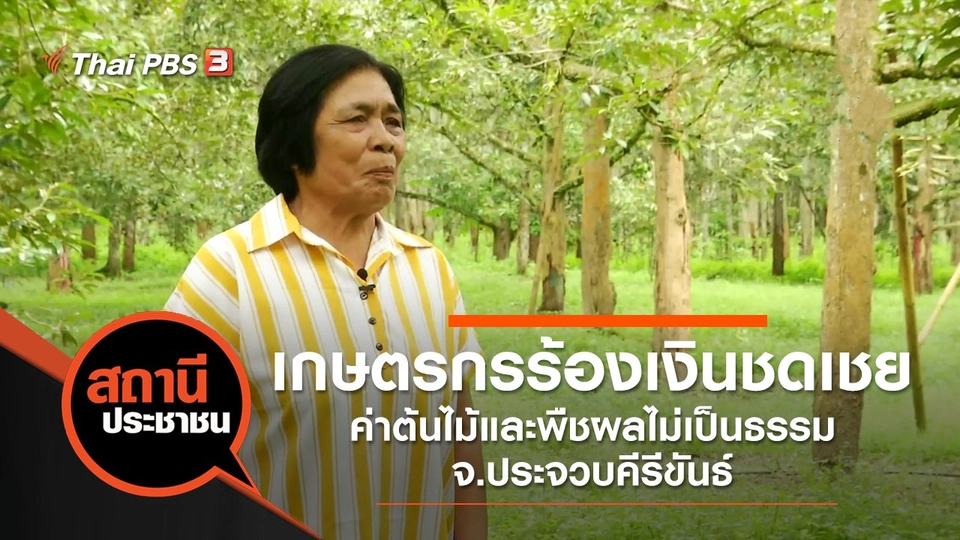 เกษตรกรร้องเงินชดเชยค่าต้นไม้และพืชผลไม่เป็นธรรม จ.ประจวบคีรีขันธ์