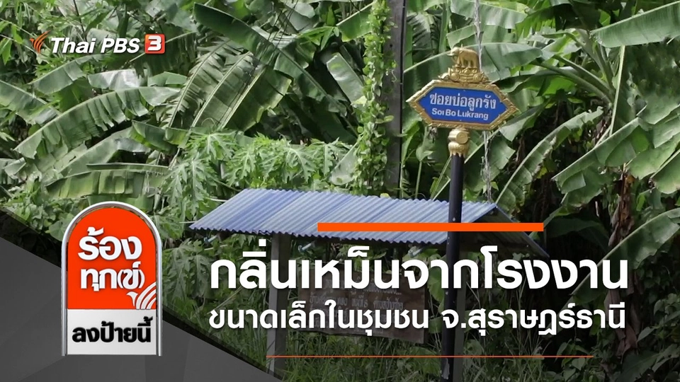 กลิ่นเหม็นจากโรงงานขนาดเล็กในชุมชน จ.สุราษฎร์ธานี