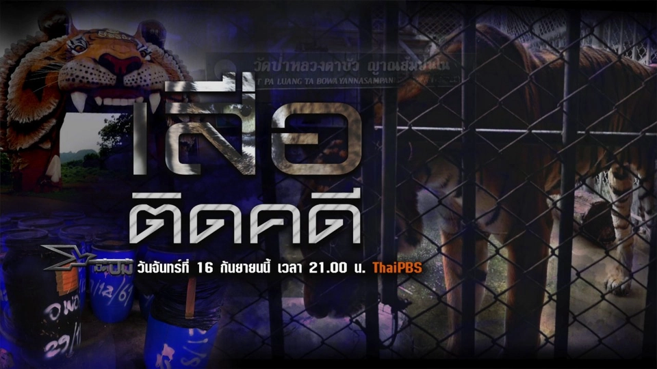 เสือติดคดี