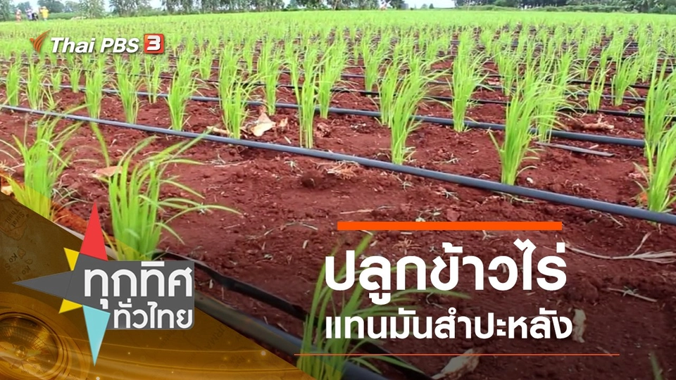 ประเด็นข่าว (13 ก.ย. 62)