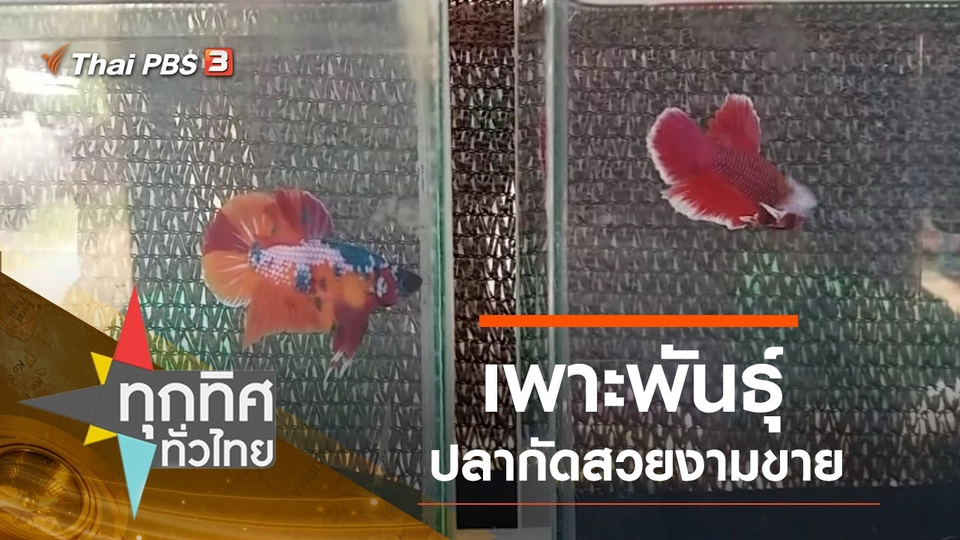 ประเด็นข่าว (12 ก.ย. 62)