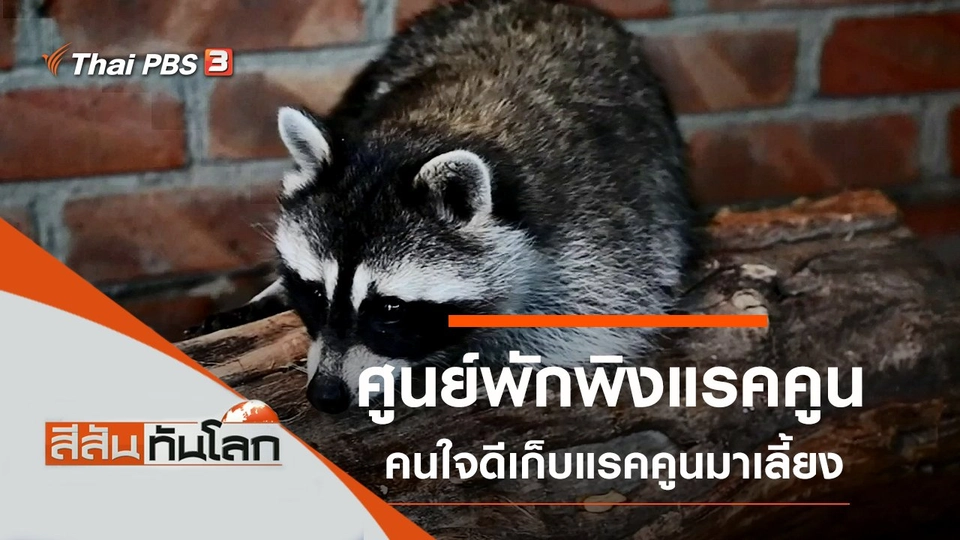 ประเด็นข่าว (14 ก.ย. 62)