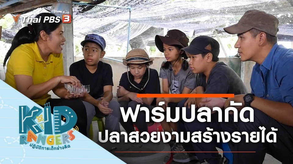 ฟาร์มปลากัด