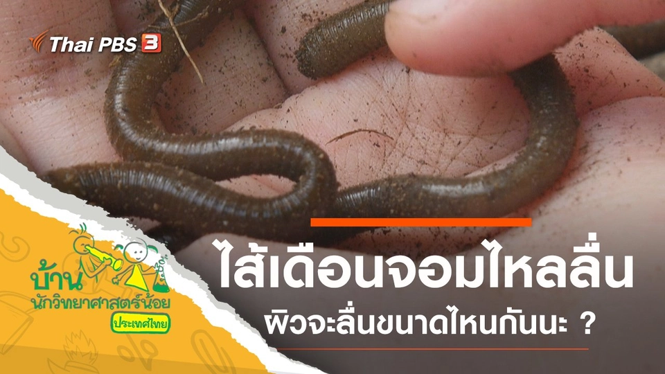 ไส้เดือนจอมไหลลื่น