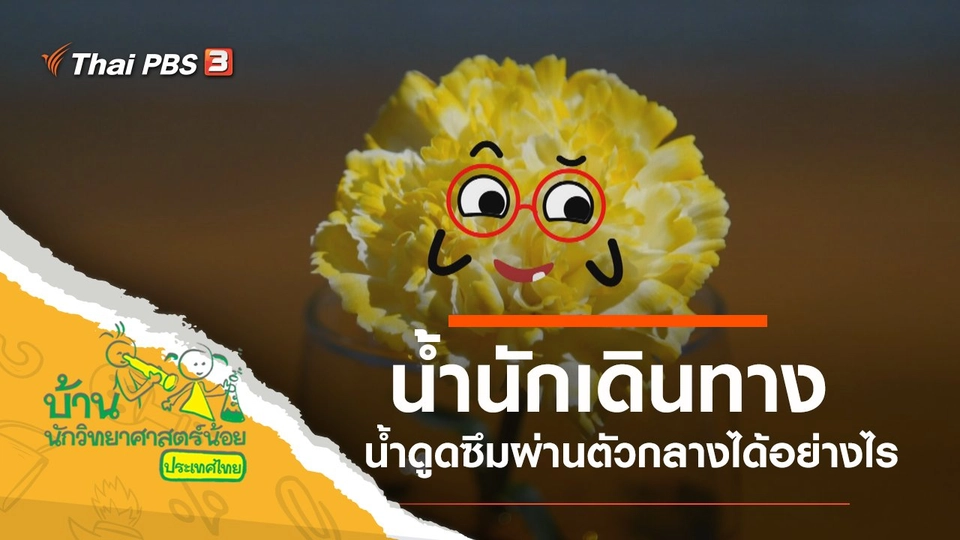 น้ำนักเดินทาง