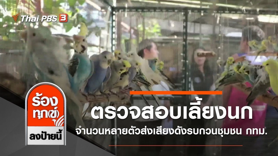 ตรวจสอบเลี้ยงนกจำนวนหลายตัวส่งเสียงดังรบกวนชุมชน กทม.