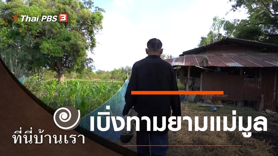 เบิ่งทามยามแม่มูล