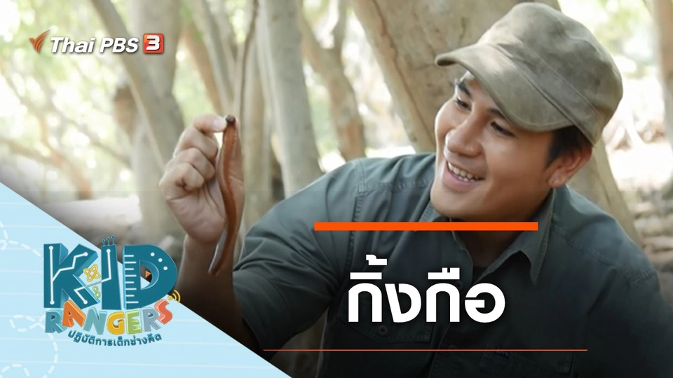 กิ้งกือ