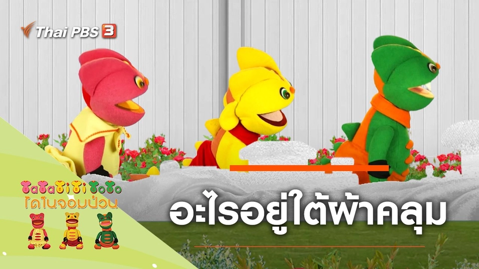 อะไรอยู่ใต้ผ้าคลุม