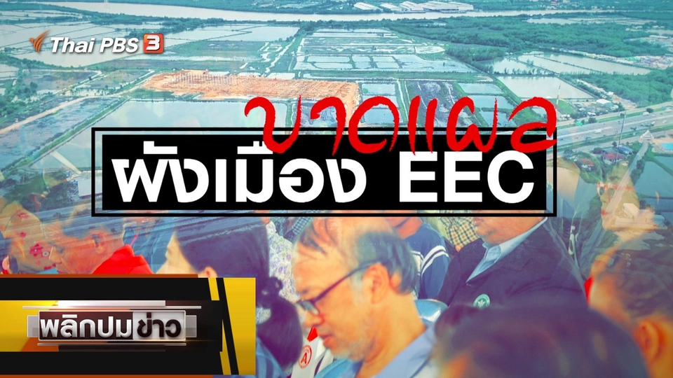 บาดแผลผังเมือง EEC