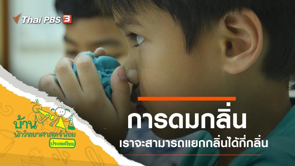 การดมกลิ่น