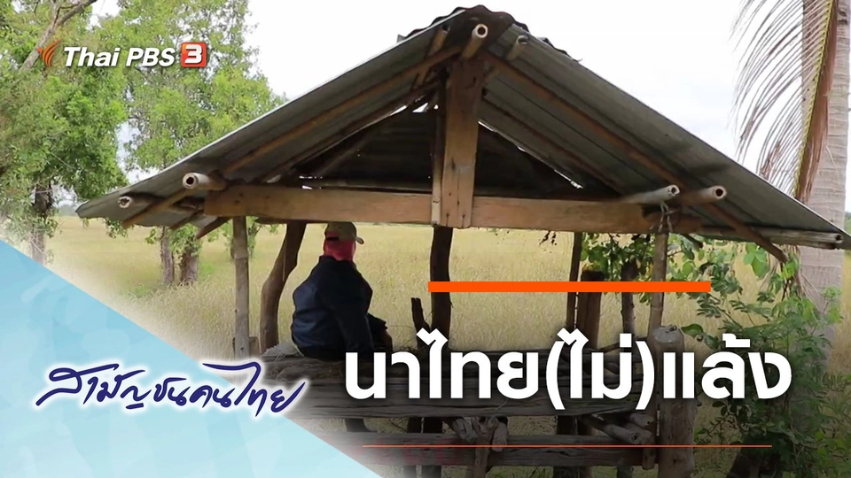 นาไทย(ไม่)แล้ง