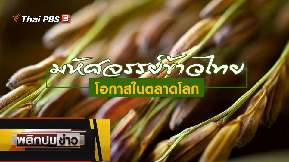 มหัศจรรย์ข้าวไทย โอกาสในตลาดโลก