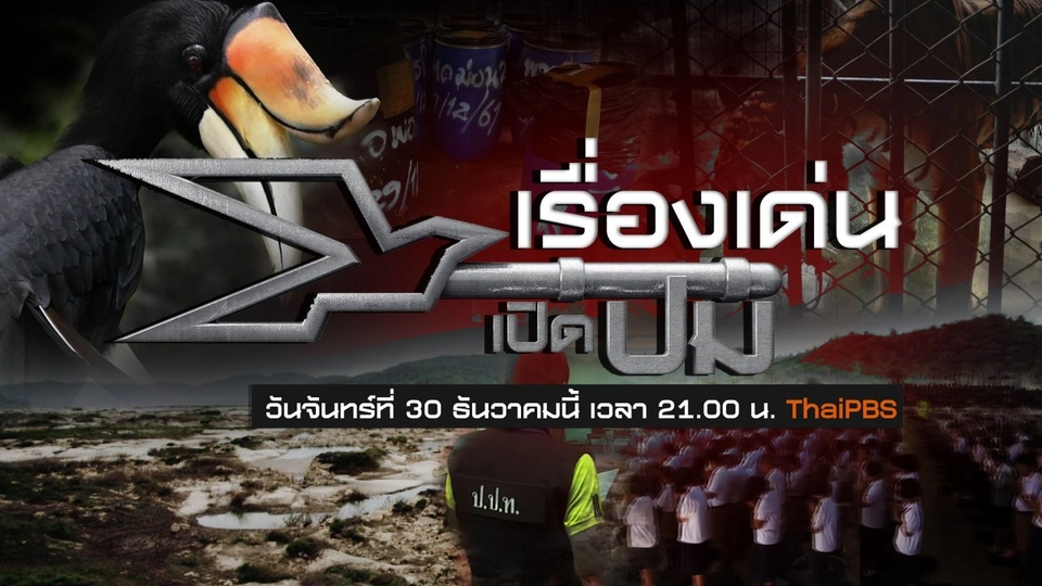 เรื่องเด่นเปิดปม