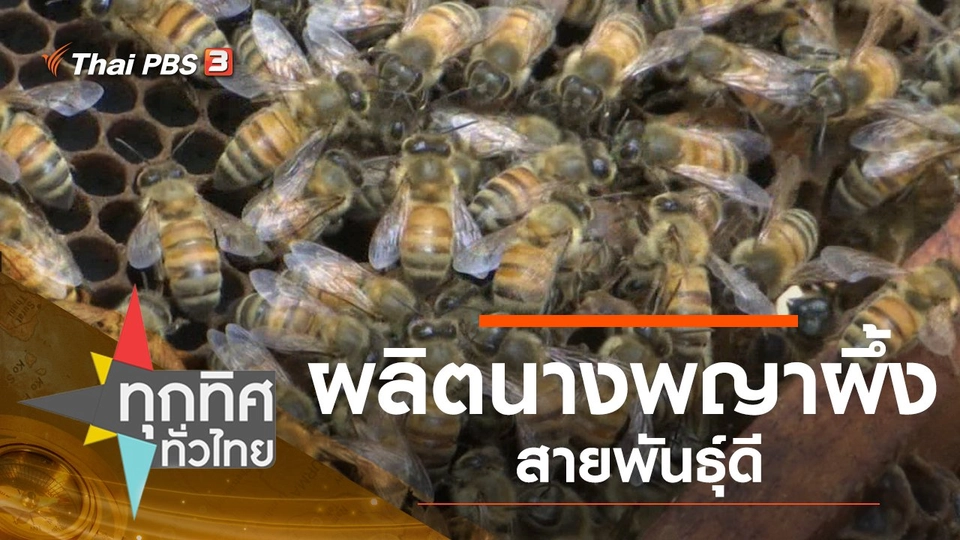 ประเด็นข่าว (25 ธ.ค. 62)