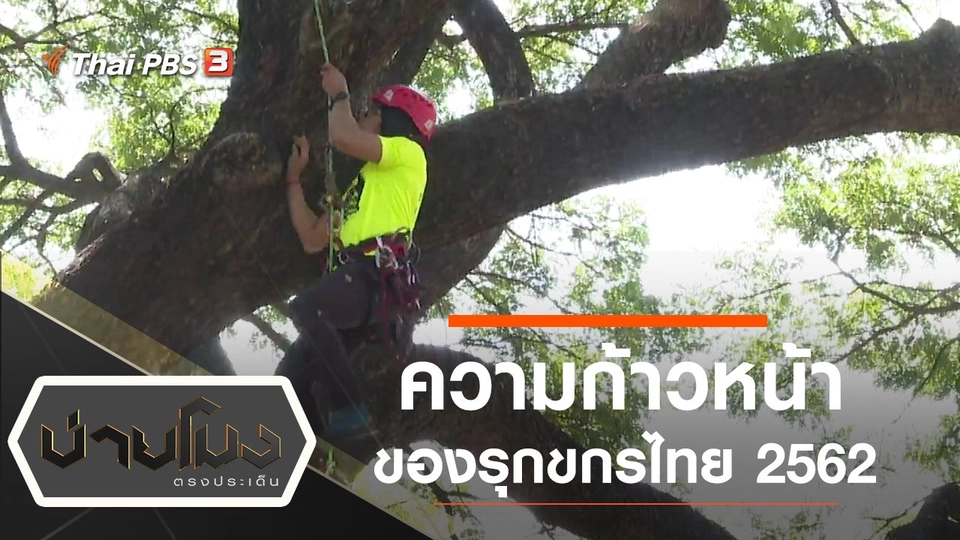 ประเด็นข่าว (25 ธ.ค. 62)