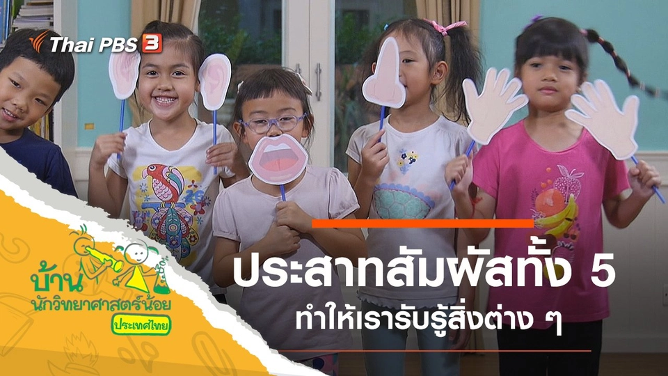 ประสาทสัมผัสทั้ง 5