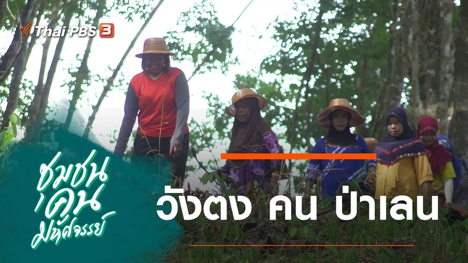 วังตง คน ป่าเลน