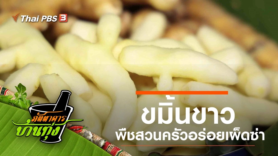 ขมิ้นขาว