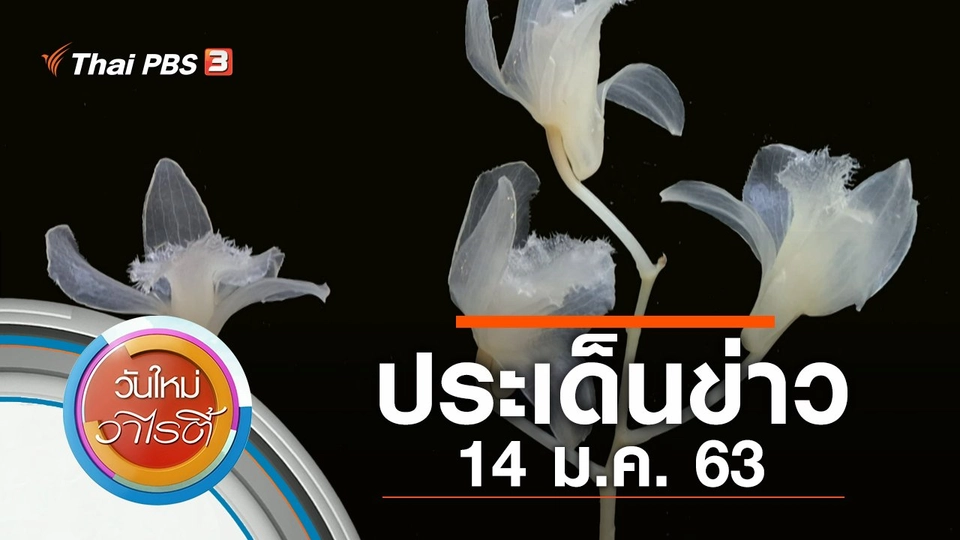 ประเด็นข่าว (14 ม.ค. 63)