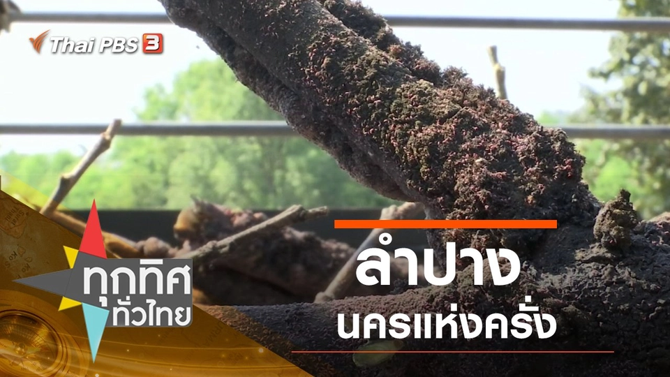 ประเด็นข่าว (14 ม.ค. 63)