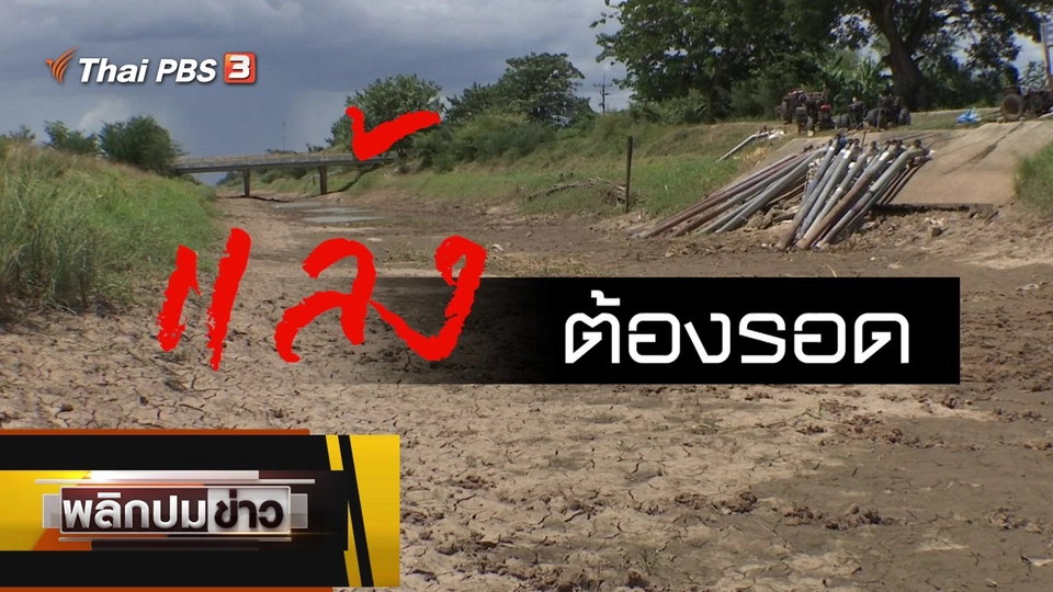 แล้งต้องรอด