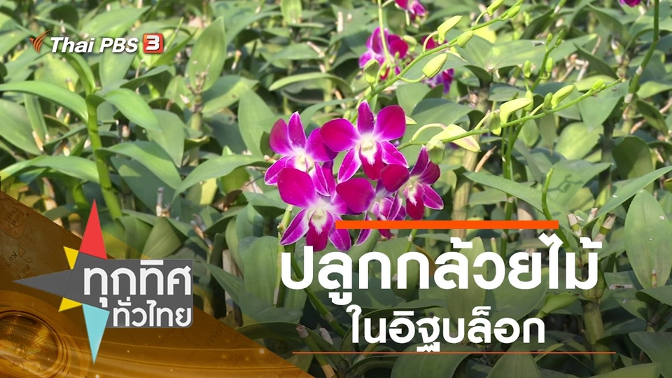 ประเด็นข่าว (16 ม.ค. 63)