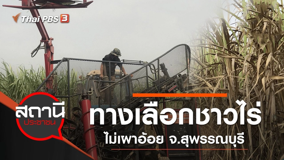 ทางเลือกชาวไร่ ไม่เผาอ้อย อ.สองพี่น้อง จ.สุพรรณบุรี