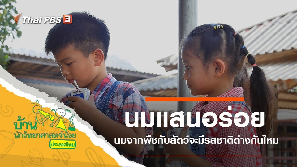 นมแสนอร่อย