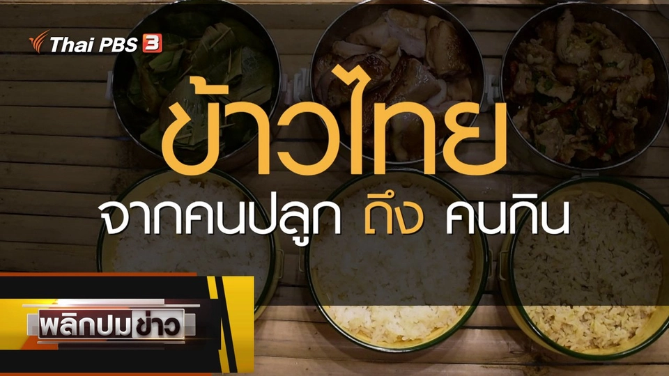 ข้าวไทย จากคนปลูกถึงคนกิน
