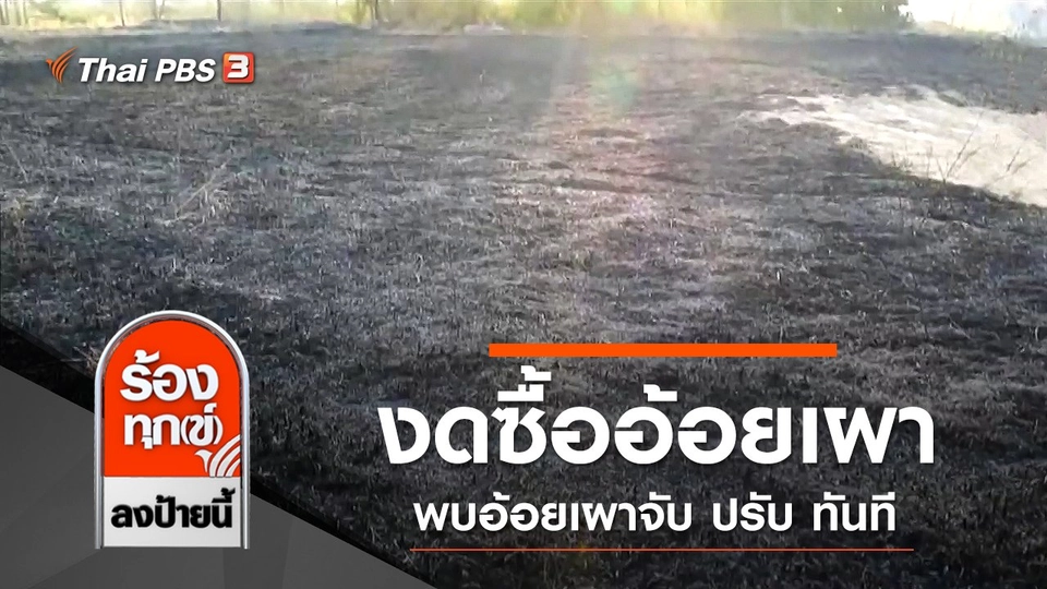 งดซื้ออ้อยเผาแก้ปัญหา PM 2.5 พบอ้อยเผาจับ ปรับ ทันที จ.เพชรบูรณ์